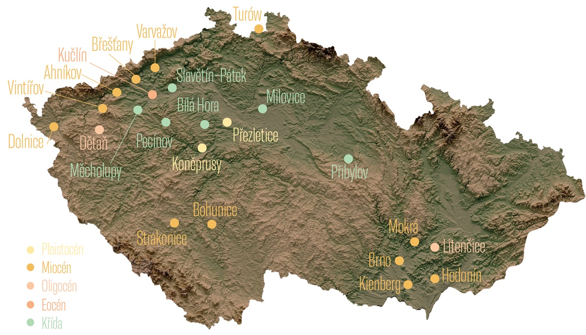 AVCR Zelvy mapa velka