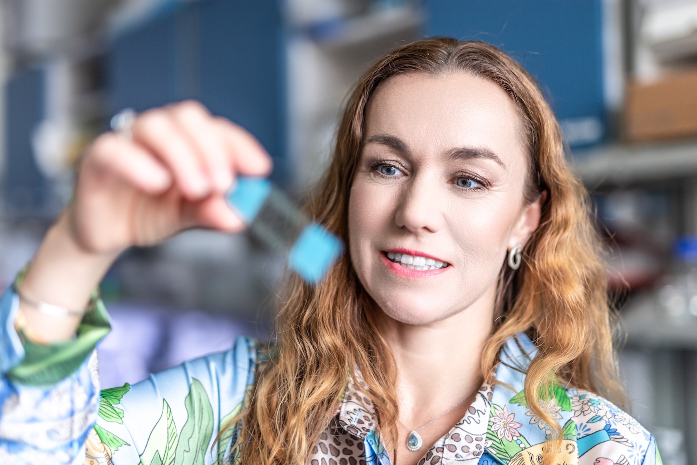 AVCR spermie Komrskova2