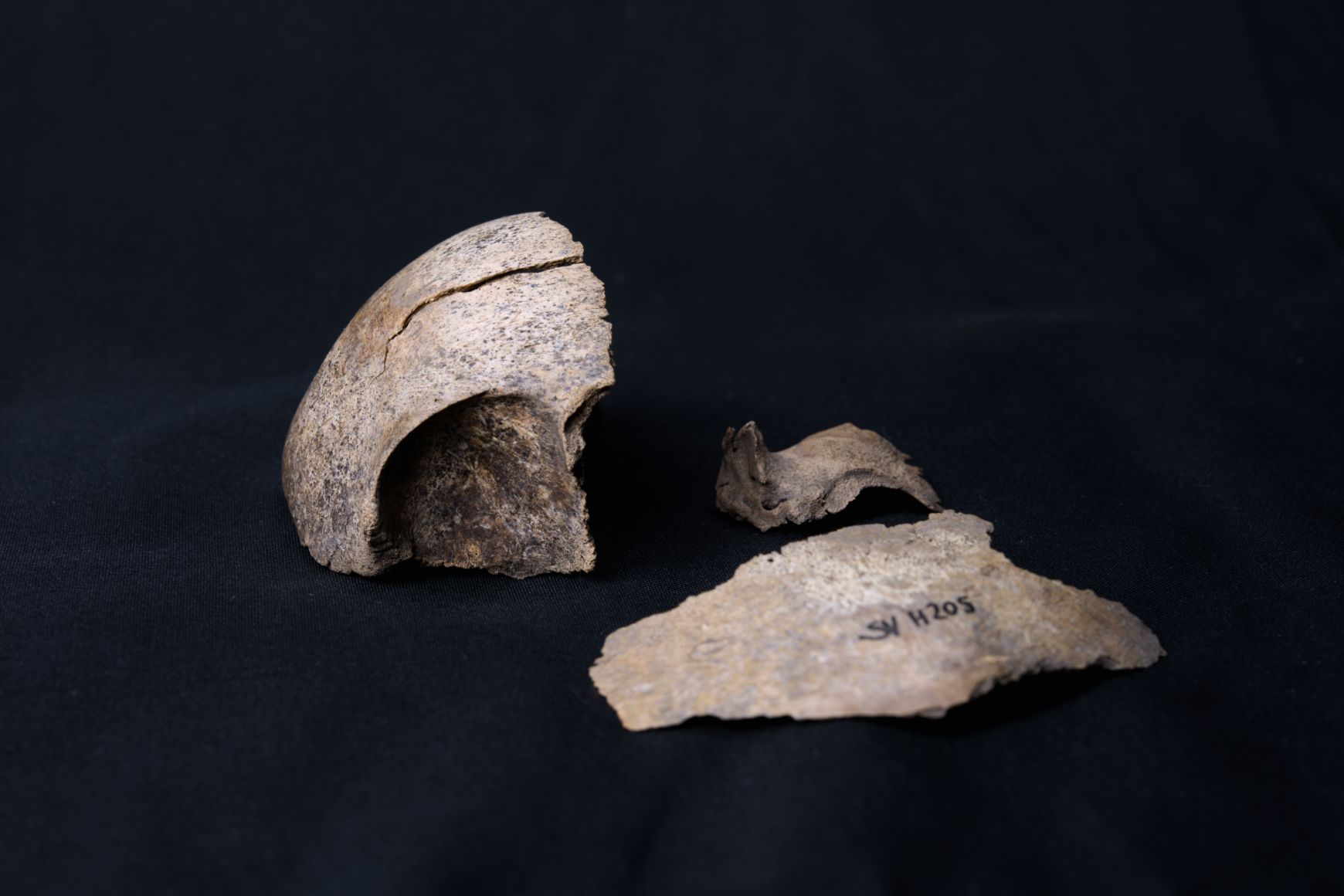 Analýzy DNA zahrnovaly i dítě pohřbené v raně slovanském kontextu, typicky spojovaném jen s kremací. Tento kosterní nález se regionálně a časově váže ke kultuře s keramikou pražského typu GACR Slovane3