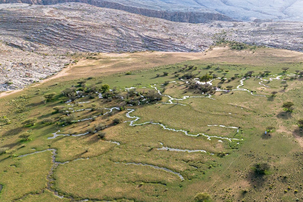 Krasová deprese Hayl Ajah o rozloze 25 hektarů představuje zásobárnu sedimentů a klimatický archiv pro studium minulosti regionu. Letecký snímek z března 2024 zachycuje depresi po zaplavení, kdy klíčení rostlin odhaluje rozdíly v půdní vlhkosti. Inna Mateiciucova2