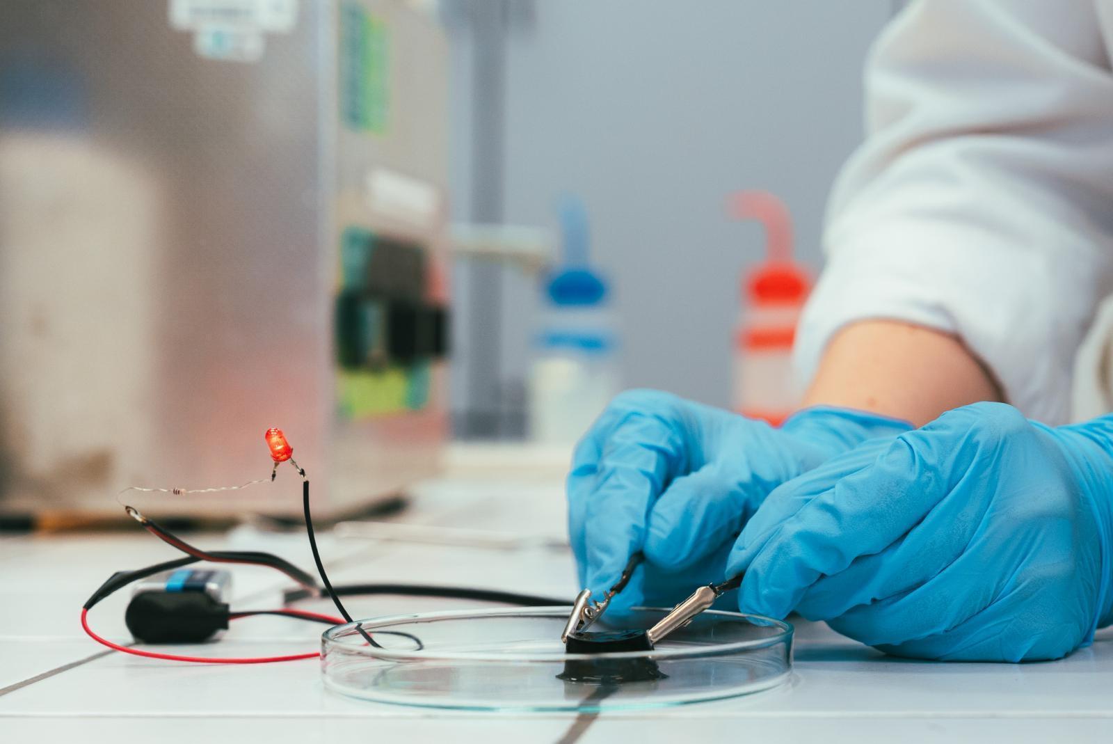 Vodivý hydrogel může zprostředkovat efektivní komunikaci mezi tělesnými strukturami a elektronickými zařízeními Romana Maleckova2