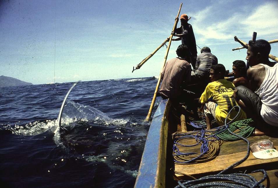 Na ostrovech žije 600 kultur – tak jako lovci rejnoků z Lembaty v Malých Sundách Tomas Petru2