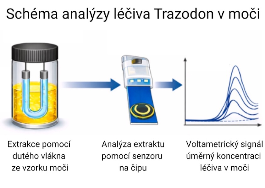 Trazodon1 UFCHJH AVCR