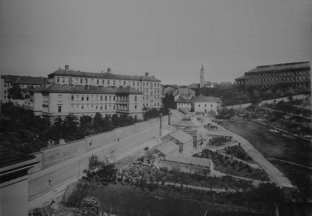 Pohled na německý skleník, který byl zničen při bombardování Prahy koncem 2. světové války. botanicka zahrada4