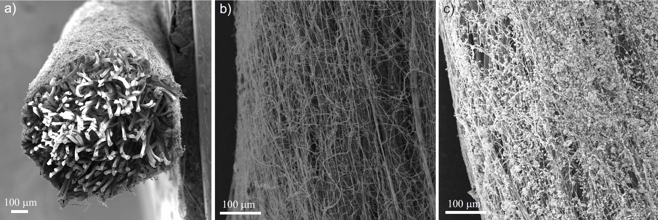 Dentální nanonit pod mikroskopem dentalni nanonit pod mikroskopem