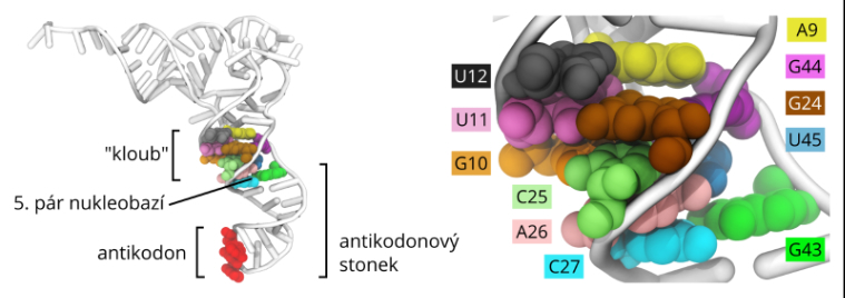tRNA VSCHT architektura