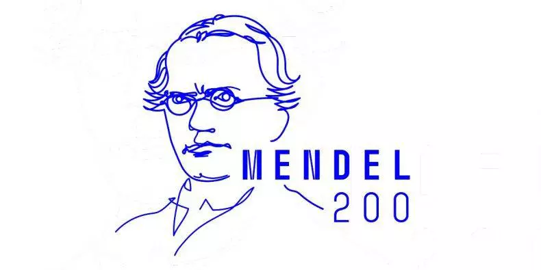 1200x900 790x395 3780617801