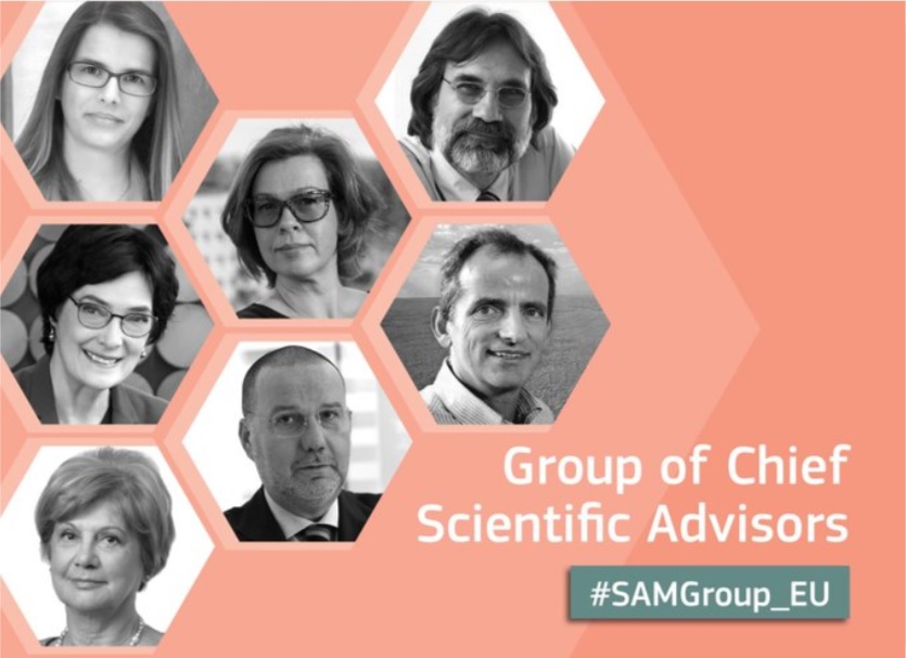 Group of Chief Scientific Advisors