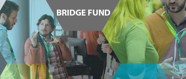 bridge fund