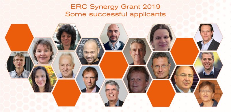 erc synergy 2019