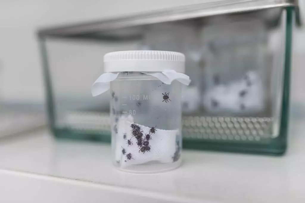 klistata v chovu Foto Pavlina Jachimova AVCR