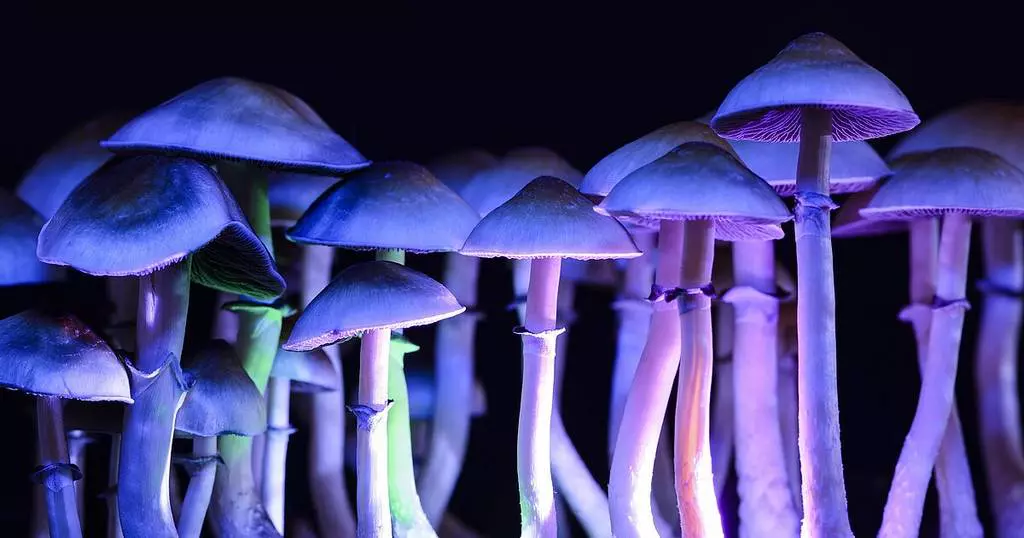 20221118Psilocybin