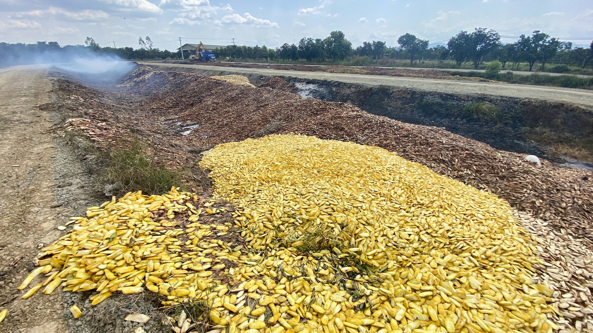 skladka odpadu tuny mangovych pecek