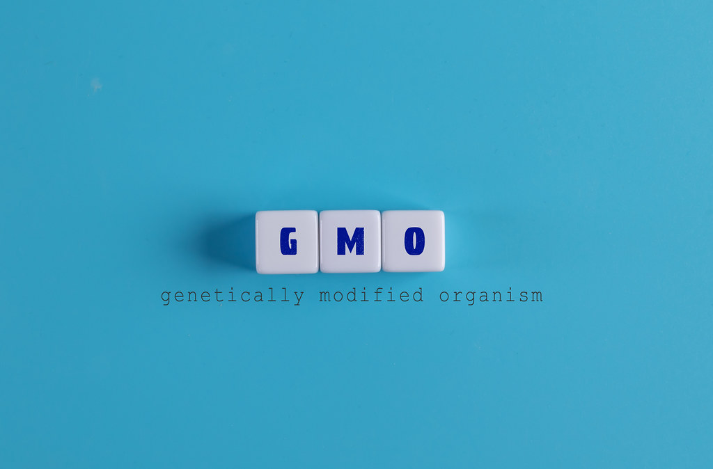 stock GMO