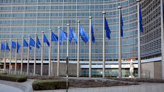 stock european flag