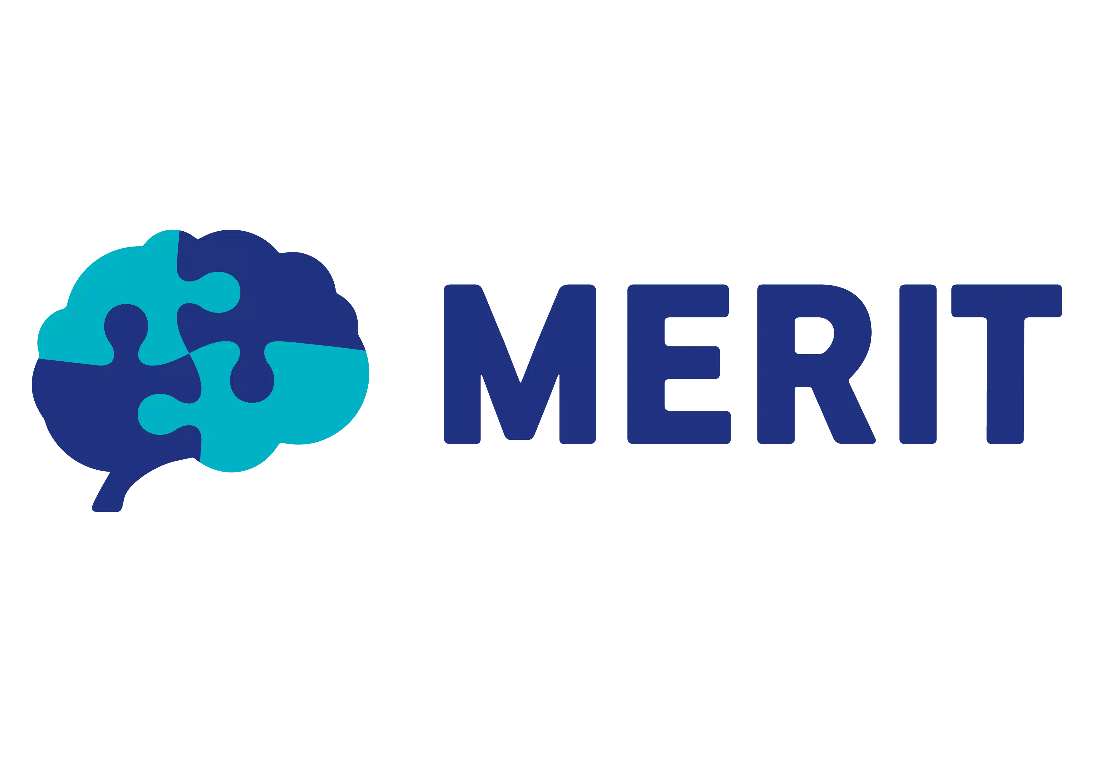 MERIT logo horizontalni barevne