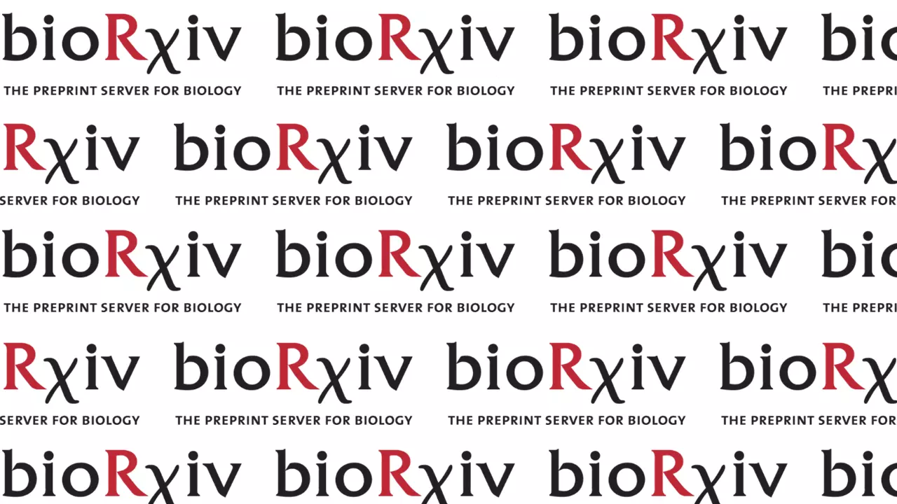 biorxiv