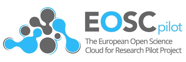 eoscpilot logo