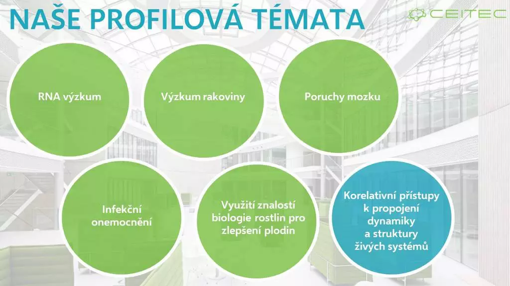 CEITEC PROFILOVÁ TÉMATA JPG