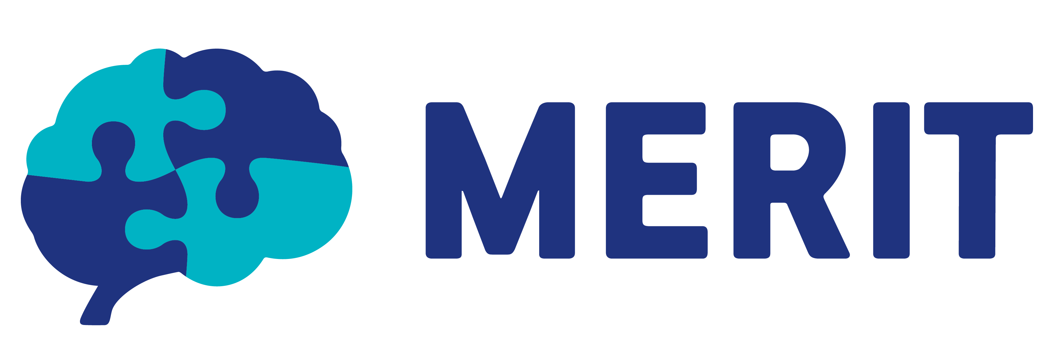 MERIT logo upravene