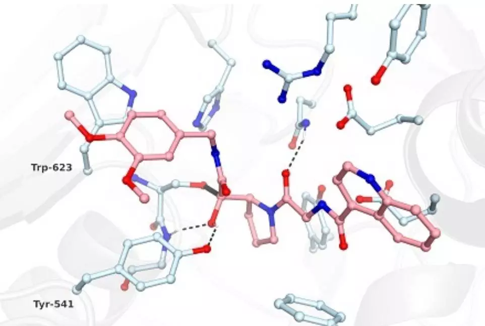 Simkova inhibitor