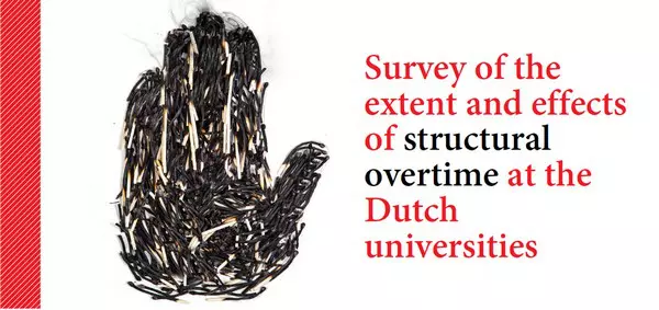 Dutch universities