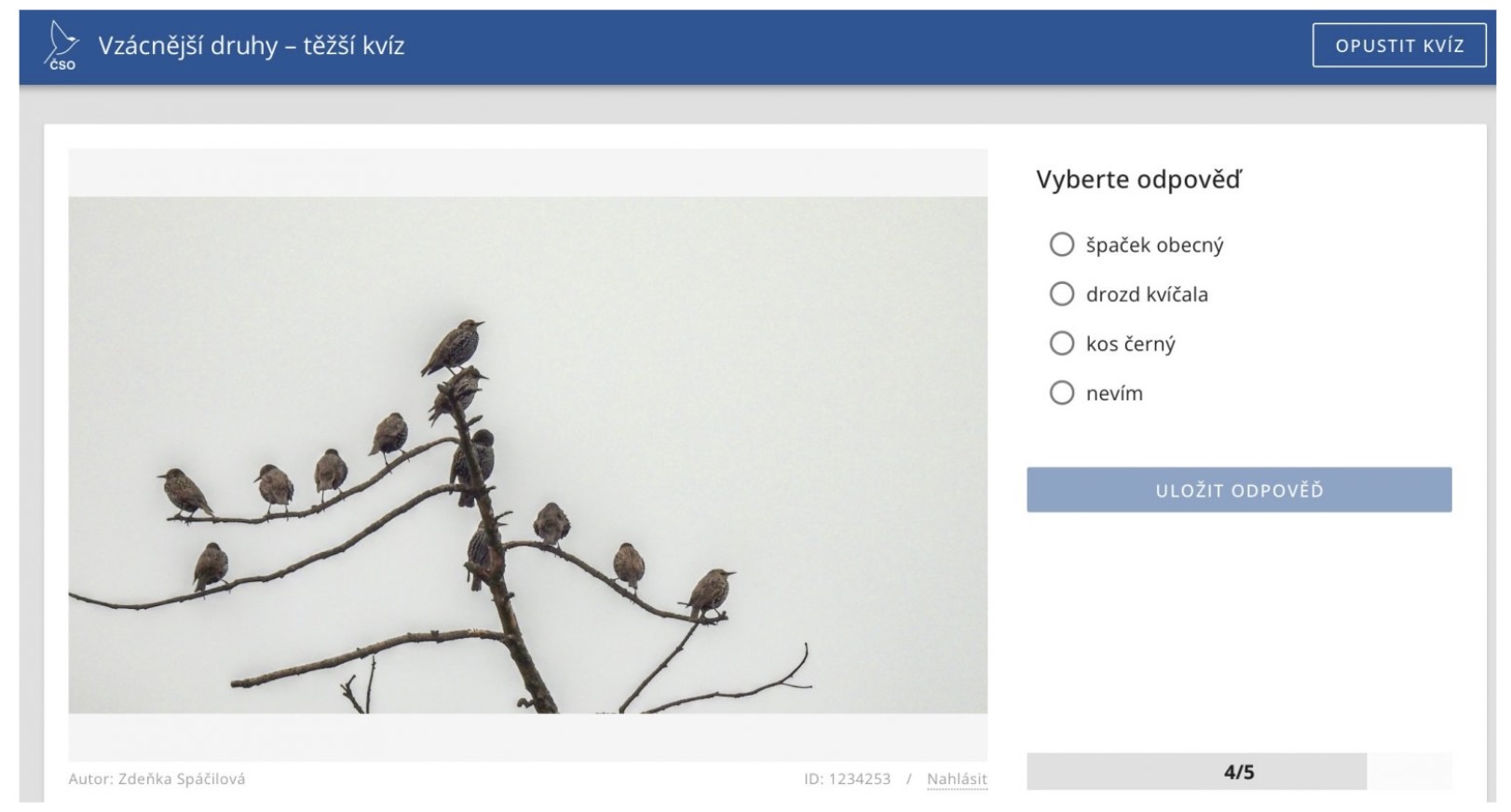 Ptaci hodinka 26 kvizy