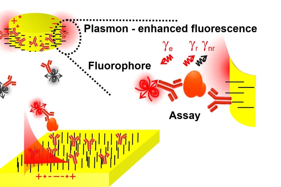 Schémata, která ukazují, jak fluorescenční emitory interagují s elektromagnetickým polem povrchových plasmonů při použití v sendvičovém imunoassay.