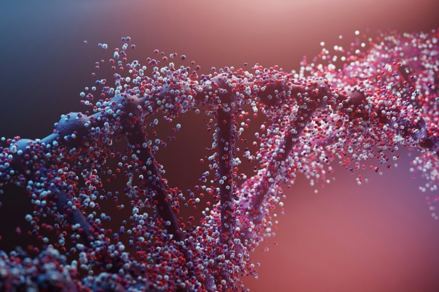 Ilustrační obrázek | Foto: Unsplash