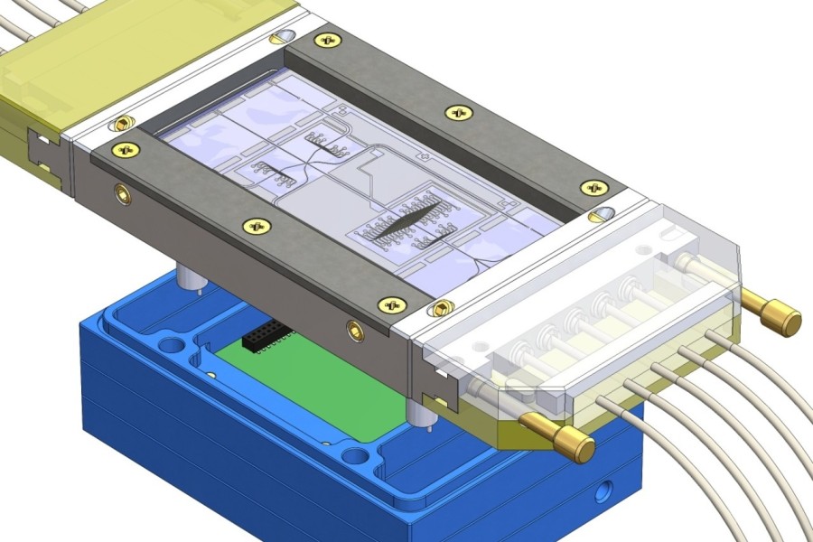 Grafika: archiv Katedry analytické chemie