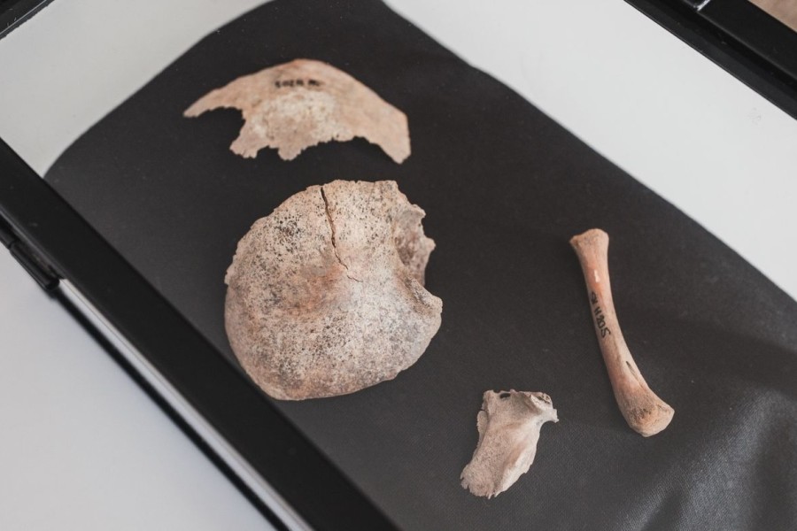 K analýze DNA byly využity mimo jiné i kosterní pozůstatky asi dva týdny starého novorozence z druhé poloviny 7. století