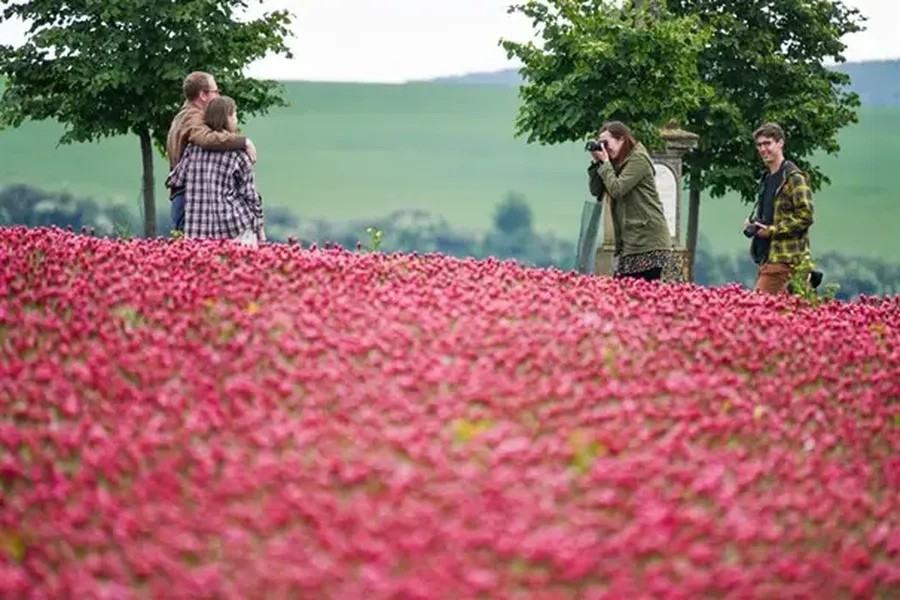 Jetelový den v BIO regionu Velké Hostěrádky | Foto: Tomáš Jůnek