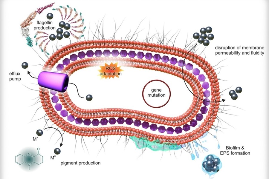 Grafika: archiv Katedry fyzikální chemie