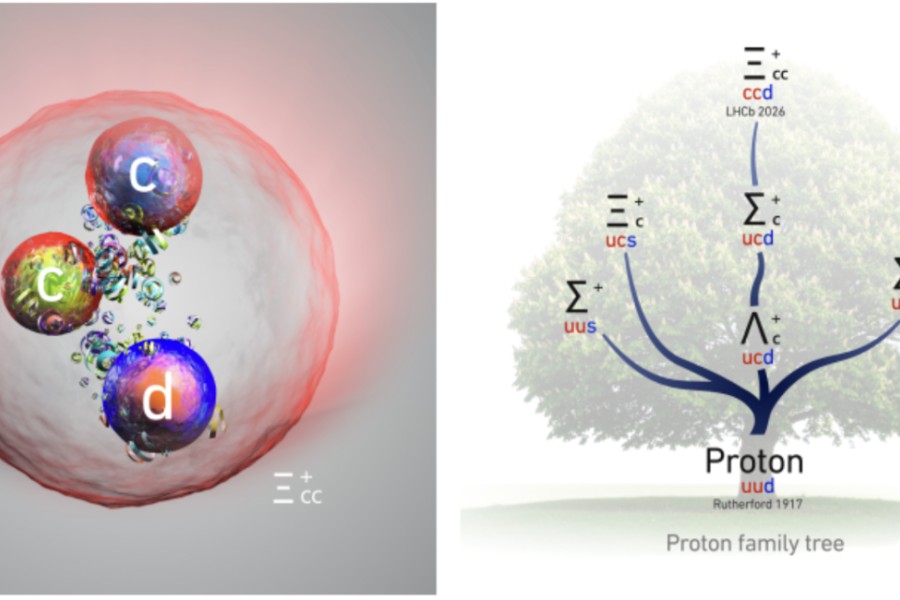 Umělecká představa nové částice (vlevo), diagram (vpravo) znázorňuje „rodokmen“ protonu -ilustruje, jak vznikají těžší příbuzní při nahrazení jeho kvarků up a down kvarky strange, charm nebo bottom