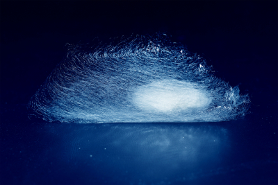 &Scaron;&aacute;rka Podlahov&aacute;: Hedv&aacute;bn&aacute; perlorodka, Věda fotogenick&aacute; 2023, AV ČR