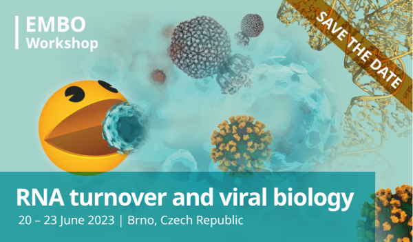 Konference EMBO: RNA stabilita a virová biologie