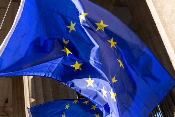 Aktivita států Evropské Unie v rámcových programech