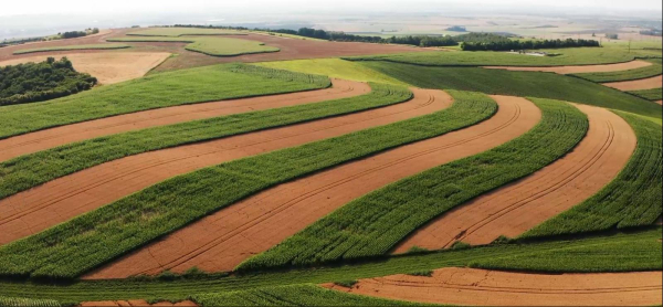 Erozi půdy zabrání technologie pásového střídání plodin
