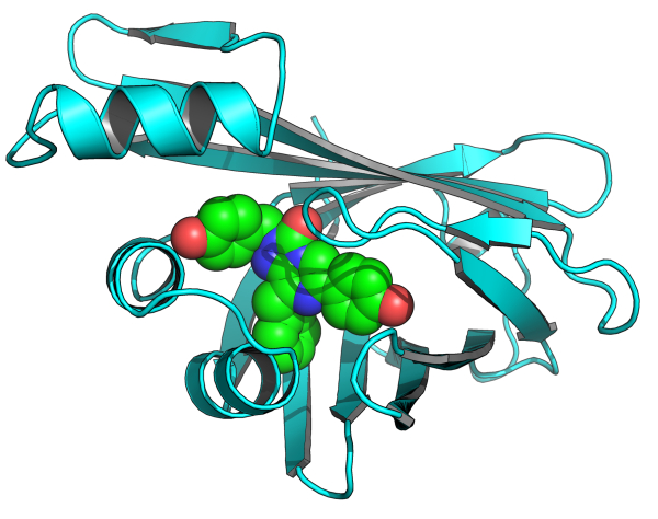 Vědci z Brna odhalili strukturu nejzářivějšího enzymu