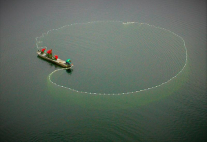 Hydrobiologové se snaží vypočítat množství ryb v nádržích a jezerech
