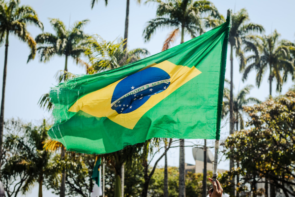 Blýská se brazilské vědě na lepší časy?