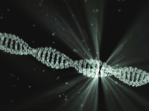 Nové poznatky o zlomech DNA a jejich opravě