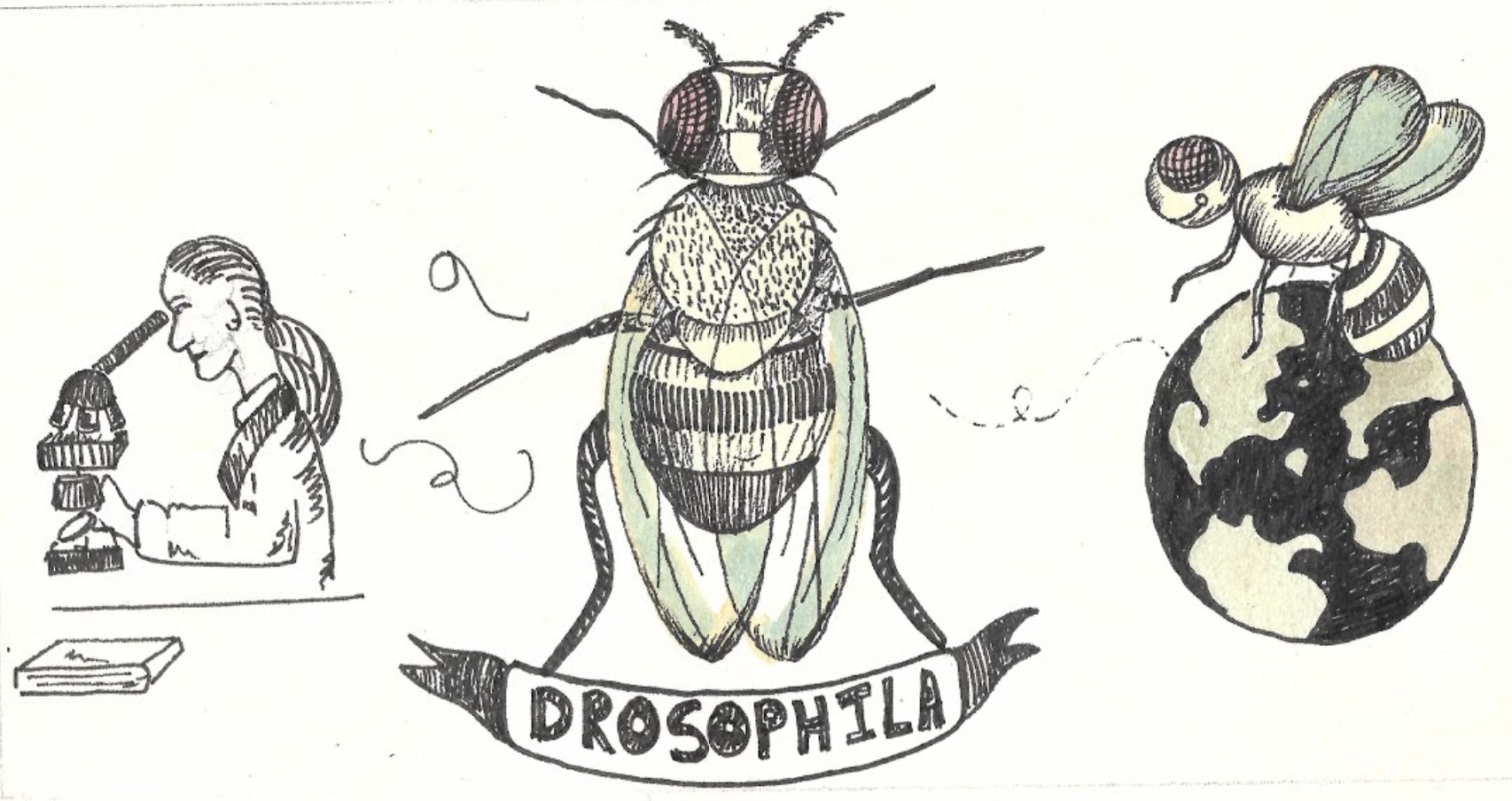 Foto: Anmol Venkatesh Octomilka2