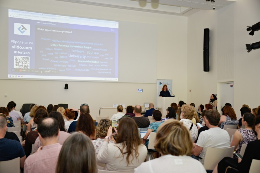 Foto z akce „Mastering Horizon Europe Proposals and Knowledge Valorization"